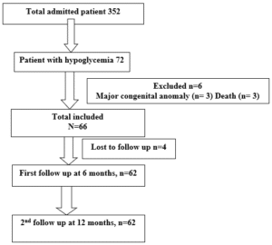 Flow chart of patient enrolment and follow up