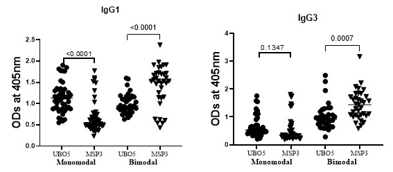 Profiles of Immunoglobulin G Antibody Subclass