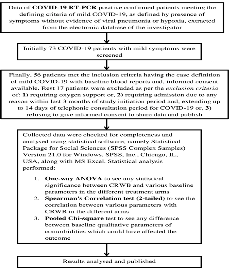 RT-PCR flowchart