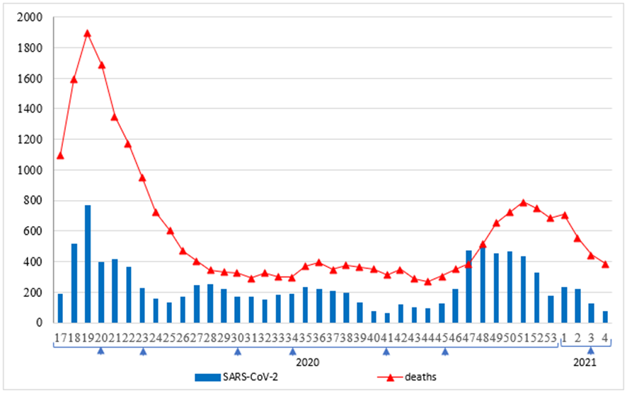 deaths by COVID-19