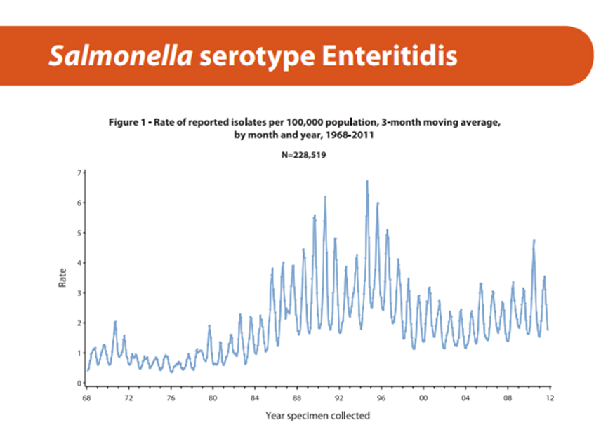 Salmonella serotype enteritidis