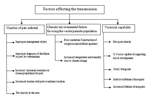 transmission rate