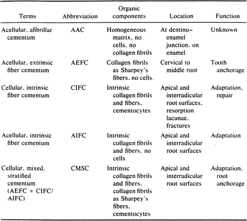 Classification of cementum