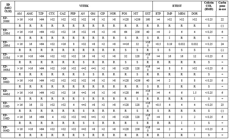 Phenotypic antimicrobial resistance pattern