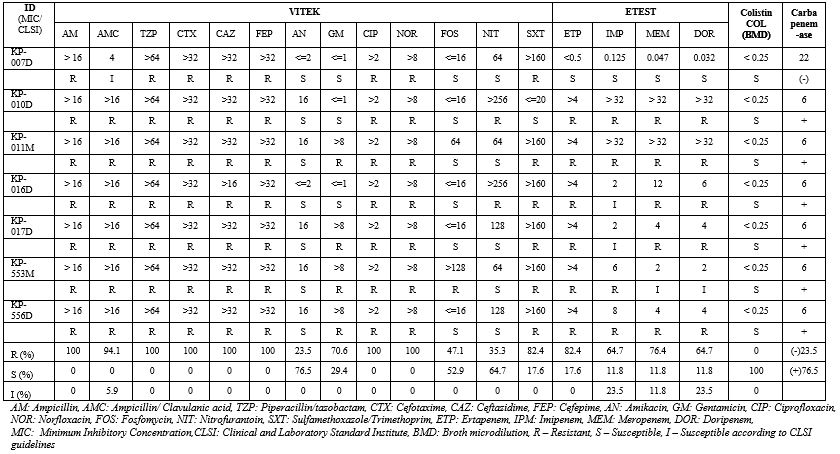 K. pneumoniae isolates