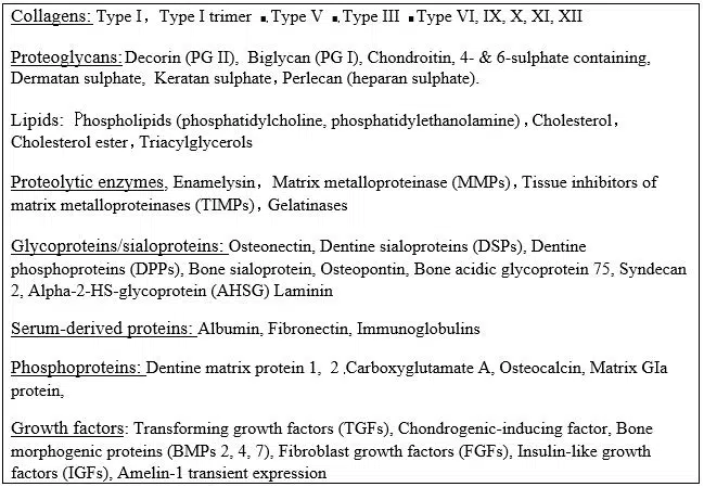 Composition of the dentin extracellular matrix